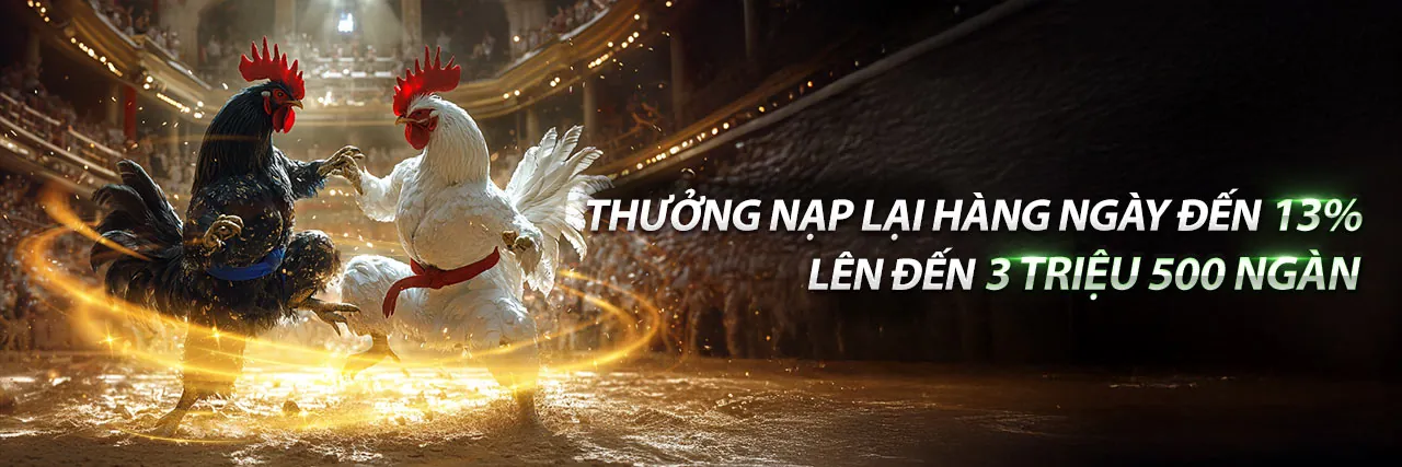 ue9 nhà cái 2026: Khám Phá Ưu Đãi Độc Quyền & Tiền Thưởng Hấp Dẫn